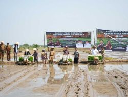 Sinergi Pemkot–Kejaksaan Tinggi Lampung Dorong Swasembada Pangan melalui Tanam Padi Petani Mitra Adhyaksa