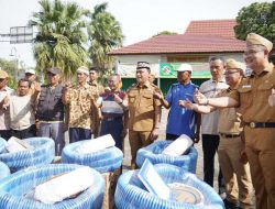 Metro Tingkatkan Produktivitas Sektor Pangan: 32 Pompa Air, 66 Kambing, dan Saprodi Perikanan Disalurkan ke Kelompok Usaha